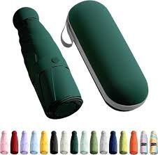 Mini Umbrella with Case(ST-102)
